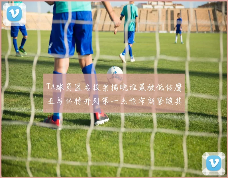 TA球员匿名投票揭晓谁最被低估鹰王与怀特并列第一杰伦布朗紧随其后